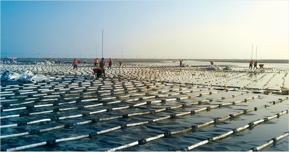 欧亚国际(中国区)·官方网站